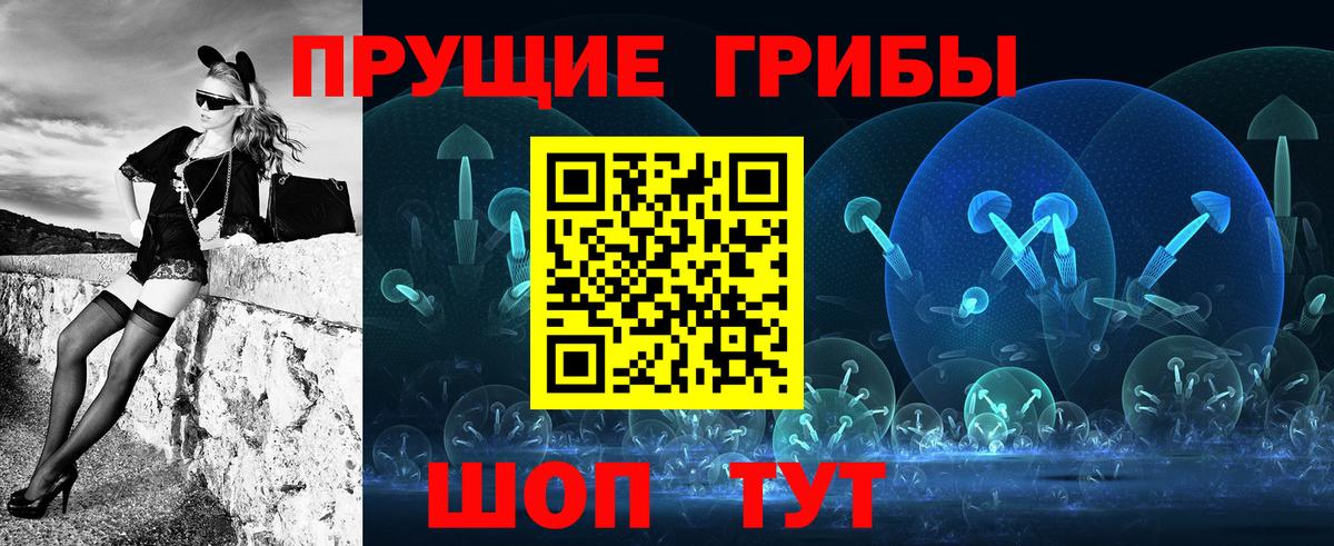 Вольск  Псилоцибиновые грибы Psilocybine cubensis  Вход с VPN 